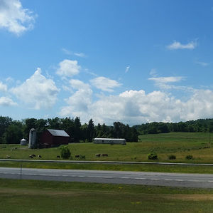 Meet your Posher, Jake